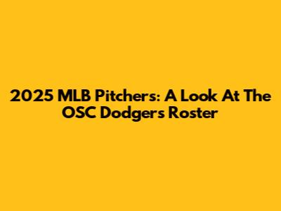 2025 MLB Pitchers: A Look At The OSC Dodgers' Roster
