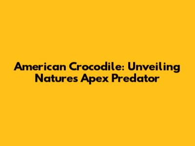 American Crocodile: Unveiling Nature's Apex Predator