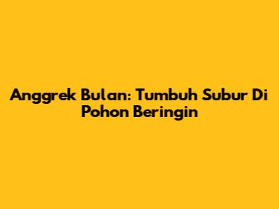 Anggrek Bulan: Tumbuh Subur Di Pohon Beringin