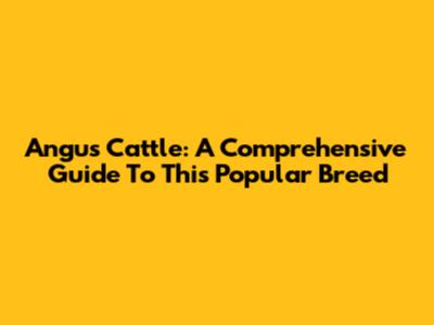 Angus Cattle: A Comprehensive Guide To This Popular Breed
