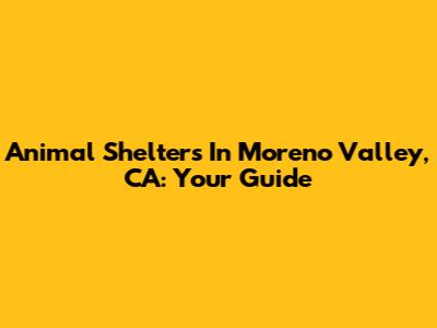 Animal Shelters In Moreno Valley, CA: Your Guide