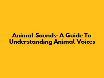Animal Sounds: A Guide To Understanding Animal Voices