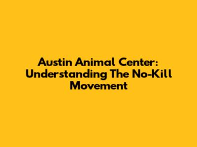 Austin Animal Center: Understanding The No-Kill Movement