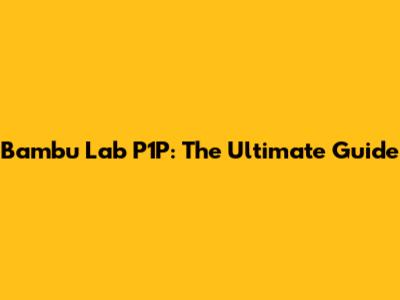 Bambu Lab P1P: The Ultimate Guide