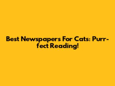 Best Newspapers For Cats: Purr-fect Reading!