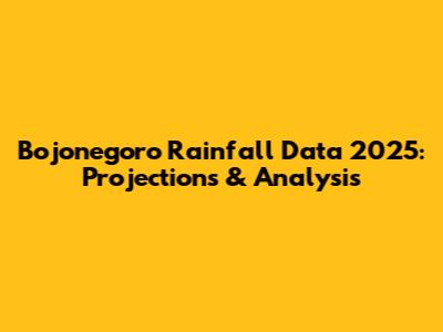 Bojonegoro Rainfall Data 2025: Projections & Analysis