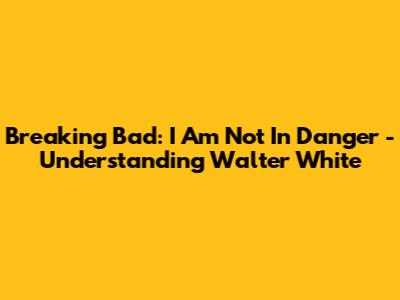 Breaking Bad:  I Am Not In Danger - Understanding Walter White