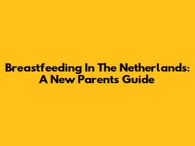 Breastfeeding In The Netherlands: A New Parent's Guide