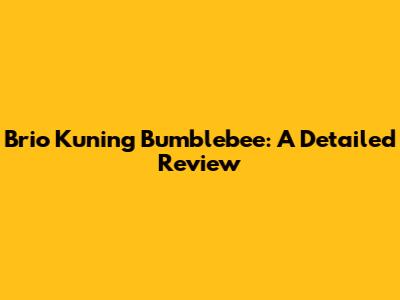 Brio Kuning Bumblebee: A Detailed Review
