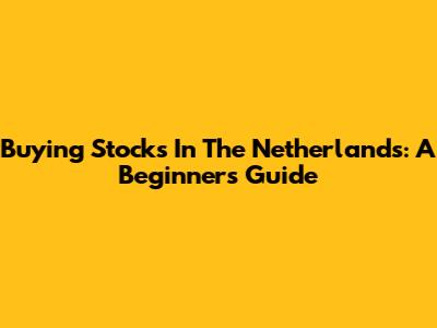 Buying Stocks In The Netherlands: A Beginner's Guide