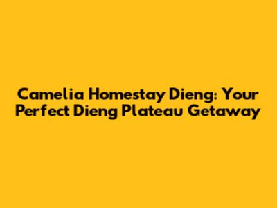 Camelia Homestay Dieng: Your Perfect Dieng Plateau Getaway