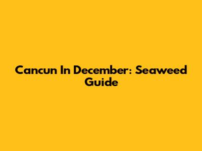 Cancun In December: Seaweed Guide