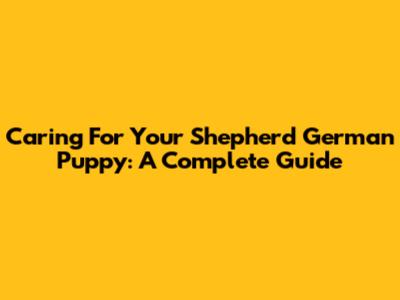 Caring For Your Shepherd German Puppy: A Complete Guide