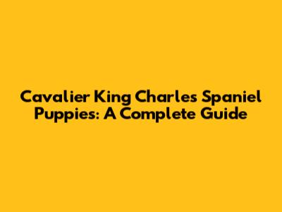 Cavalier King Charles Spaniel Puppies: A Complete Guide