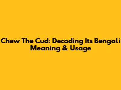 Chew The Cud: Decoding Its Bengali Meaning & Usage