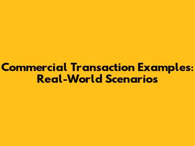 Commercial Transaction Examples: Real-World Scenarios
