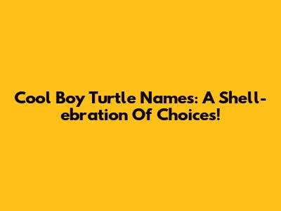 Cool Boy Turtle Names: A Shell-ebration Of Choices!