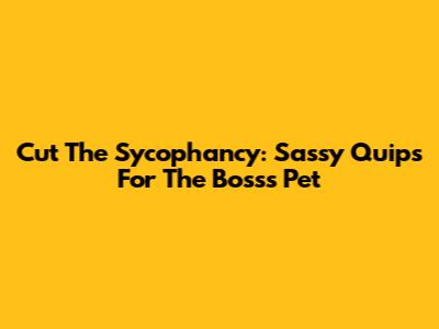 Cut The Sycophancy: Sassy Quips For The Boss's Pet