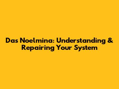 Das Noelmina: Understanding & Repairing Your System