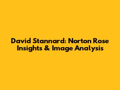 David Stannard: Norton Rose Insights & Image Analysis