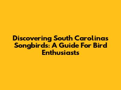 Discovering South Carolina's Songbirds: A Guide For Bird Enthusiasts