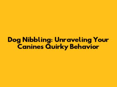 Dog Nibbling: Unraveling Your Canine's Quirky Behavior
