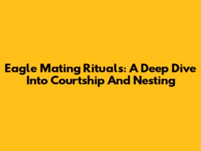 Eagle Mating Rituals: A Deep Dive Into Courtship And Nesting