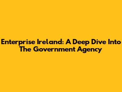 Enterprise Ireland: A Deep Dive Into The Government Agency