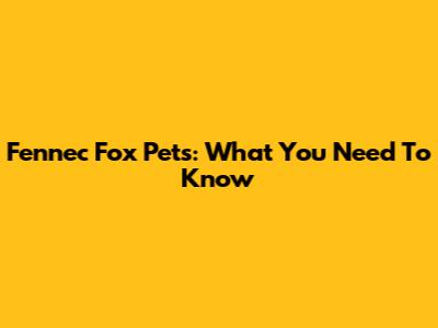 Fennec Fox Pets: What You Need To Know