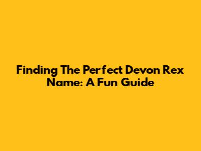 Finding The Perfect Devon Rex Name: A Fun Guide