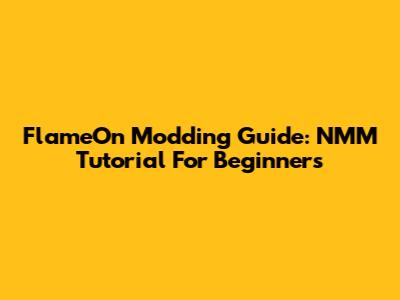 FlameOn Modding Guide: NMM Tutorial For Beginners