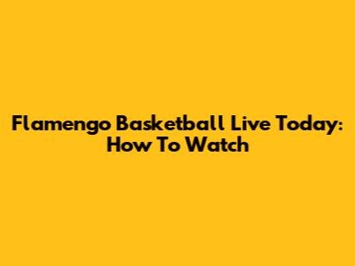 Flamengo Basketball Live Today: How To Watch
