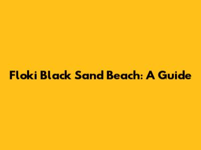 Floki Black Sand Beach: A Guide