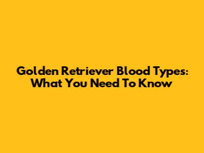 Golden Retriever Blood Types: What You Need To Know