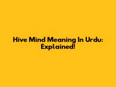 Hive Mind Meaning In Urdu: Explained!