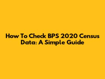 How To Check BPS 2020 Census Data: A Simple Guide
