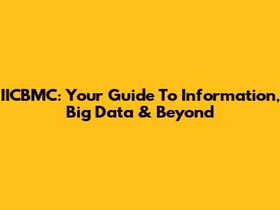 IICBMC: Your Guide To Information, Big Data & Beyond