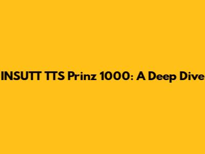 INSUTT TTS Prinz 1000: A Deep Dive