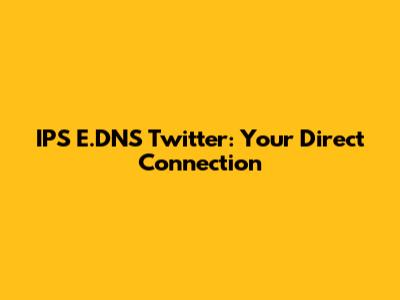 IPS E.DNS Twitter: Your Direct Connection