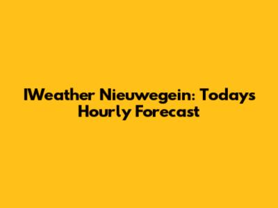 IWeather Nieuwegein: Today's Hourly Forecast
