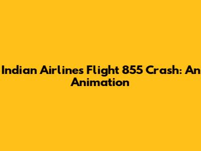 Indian Airlines Flight 855 Crash: An Animation