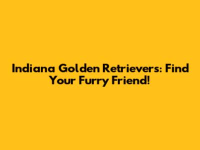 Indiana Golden Retrievers: Find Your Furry Friend!
