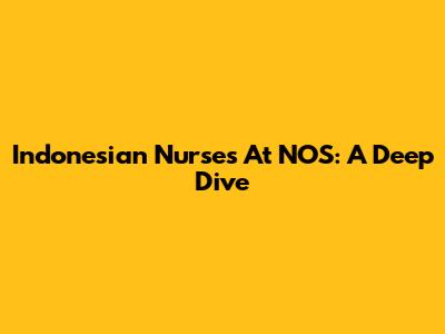 Indonesian Nurses At NOS: A Deep Dive