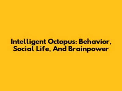 Intelligent Octopus: Behavior, Social Life, And Brainpower