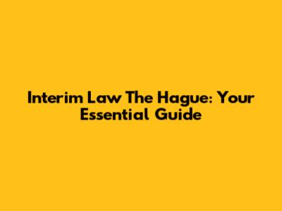 Interim Law The Hague: Your Essential Guide