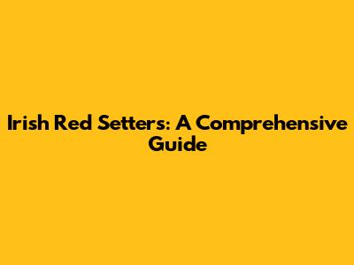 Irish Red Setters: A Comprehensive Guide