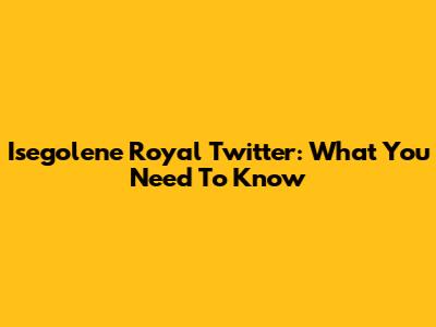 Isegolene Royal Twitter: What You Need To Know