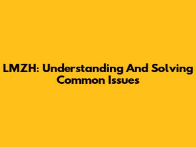 LMZH: Understanding And Solving Common Issues