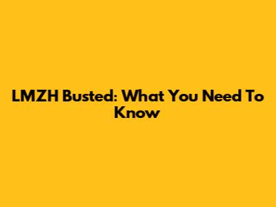 LMZH Busted: What You Need To Know