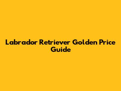 Labrador Retriever Golden Price Guide